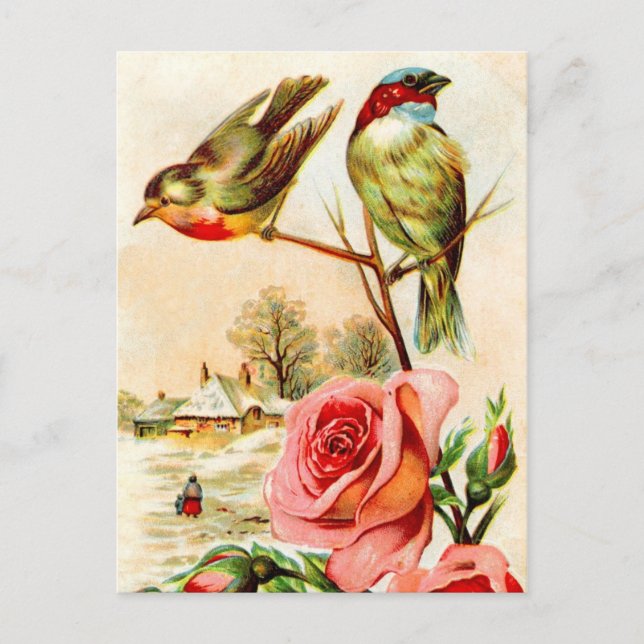 Postal Dos pájaros y Rosas (Anverso)