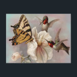 Postal Dos pájaros y una mariposa compartiendo una comida<br><div class="desc">Colores tan ricos en este ilustracion de dos pájaros y una mariposa que comparte una comida de una delicada flor blanca. Creado a principios del siglo XX.</div>