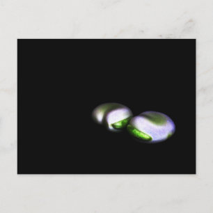 Postal Dos palas de frijol