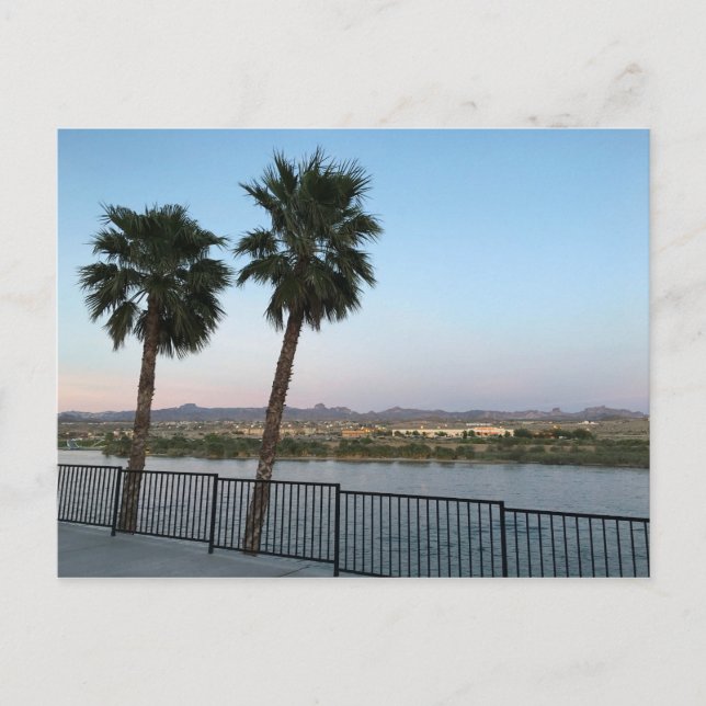 Postal Dos palmeras río Colorado en Laughlin Nevada (Anverso)