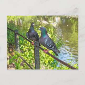 Postal Dos Palomas. Lago Roath Park, Cardiff, Gales