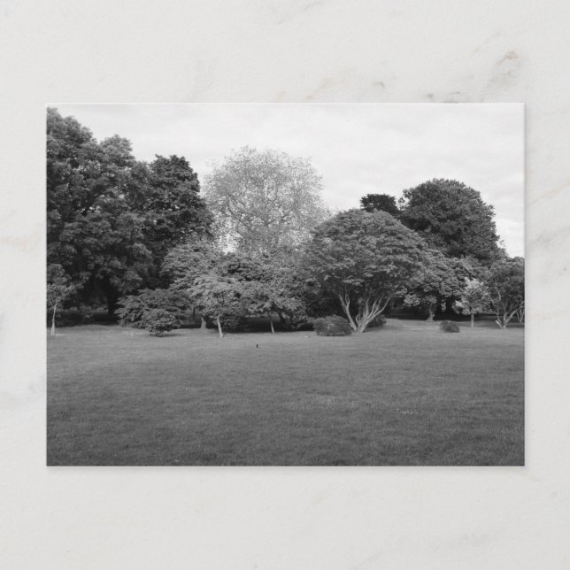 Postal Dos para la alegría (Anverso)