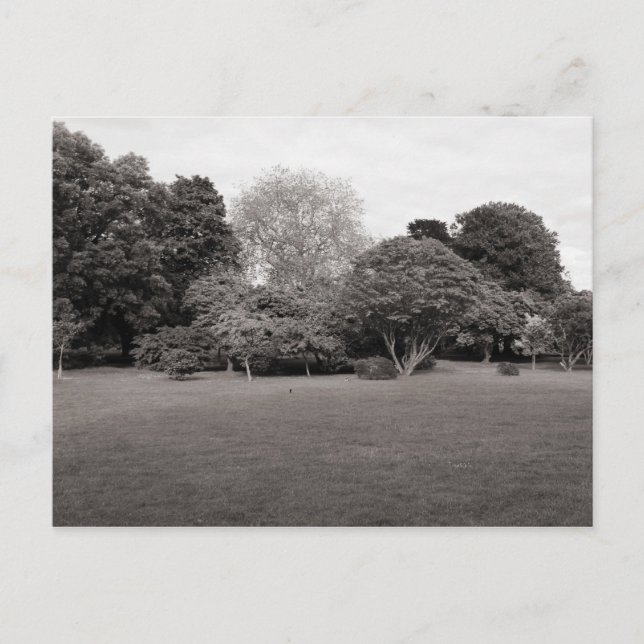 Postal Dos para la alegría (blanco y negro con tonos cáli (Anverso)