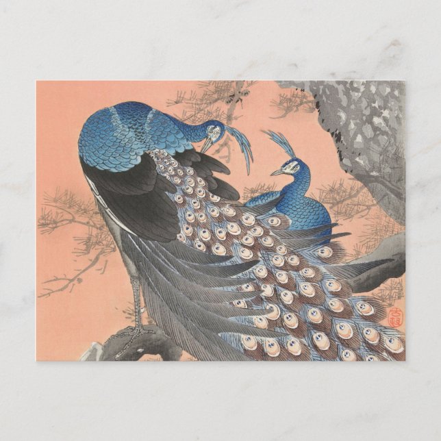Postal Dos pavos reales en la cosecha de ramas de árbol (Anverso)