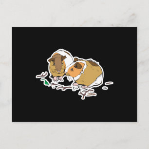 Postal dos pequeños conejillos de guinea