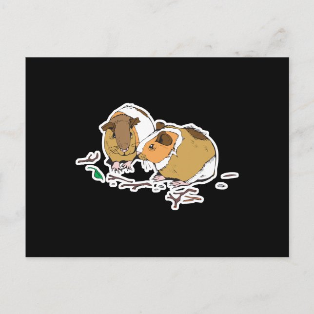 Postal dos pequeños conejillos de guinea (Anverso)