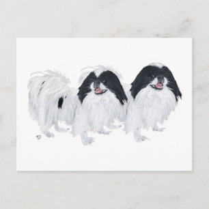 Postal Dos perros Japanese Chin