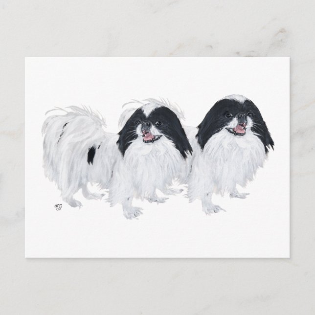 Postal Dos perros Japanese Chin (Anverso)