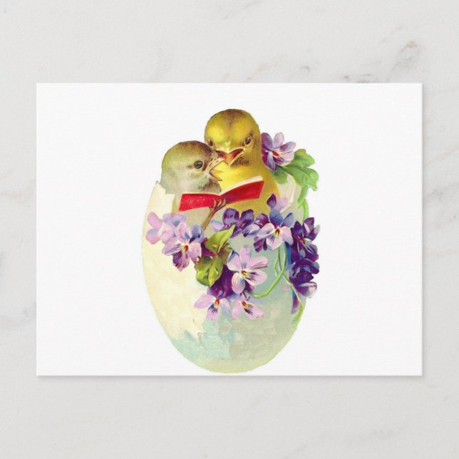 Postal Dos polluelos en el huevo cáscara cantan del (Anverso)