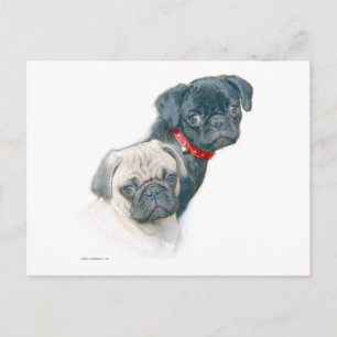 Postal Dos Pugs