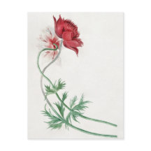 Dos ramas con una flor - Michiel van Huysum. 
