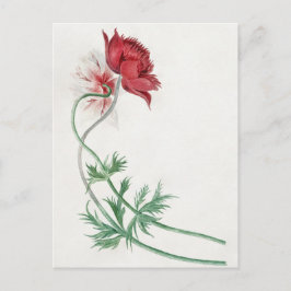 Postal Dos ramas con una flor - Michiel van Huysum. 