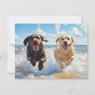 Postal Dos recuperadores de labradores en la playa