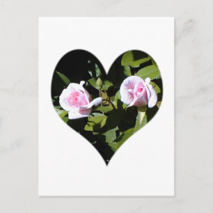 Postal Dos rosas rosas rosas dentro del corazón