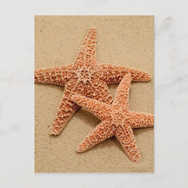Postal Dos Starfish (Anverso)