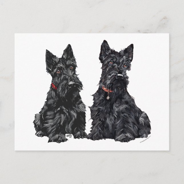 Postal Dos Terriers Escoceses Negros (Anverso)