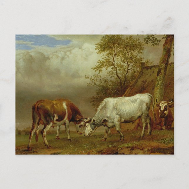 Postal Dos toros con cuernos cerrados, 1653 (Anverso)