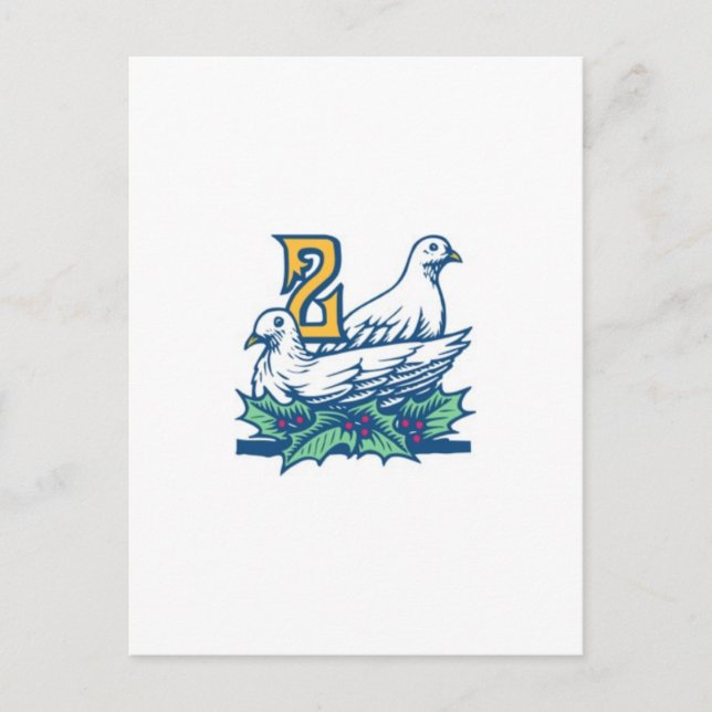 Postal Dos tortugas (Anverso)