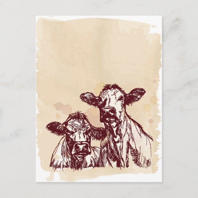 Postal Dos vacas dibujan a mano boceto y cosecha acuarela (Anverso)