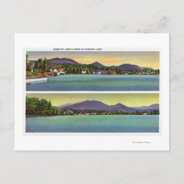 Postal Dos vistas de la flor del lago (Anverso)