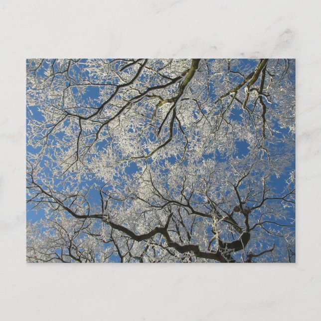 Postal Doscabo de Invierno: Cheshire (Anverso)