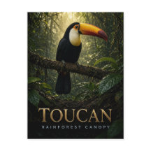 Dosel de la selva tropical del tucán Fauna ANIMAL