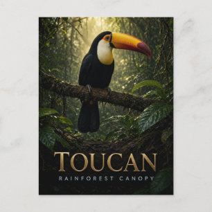 Postal Dosel de la selva tropical del tucán Fauna ANIMAL