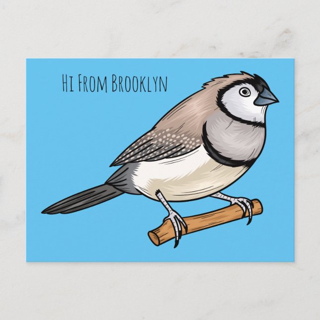 Postal Double-barred finch bird cartoon illustration (Anverso)