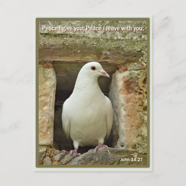 Postal Dove (Anverso)