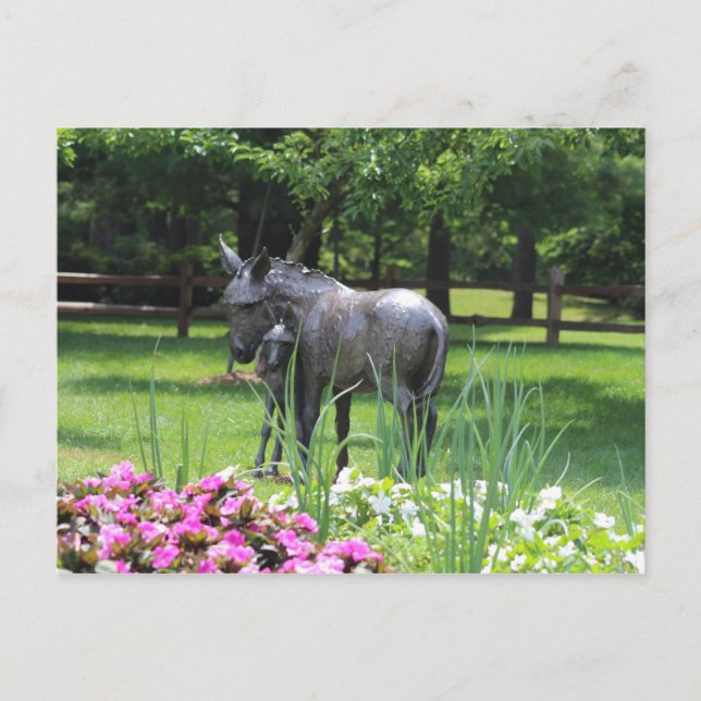 Postal Dow Gardens, Midland, Michigan (Anverso)