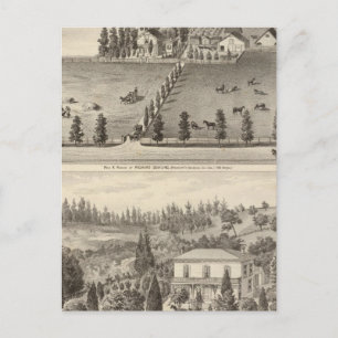 Postal Dowling, residencias de Marston