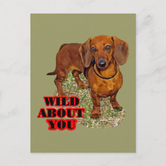 Postal Doxi Lover