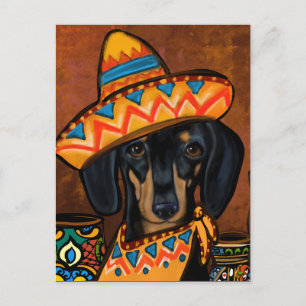 POSTAL DOXIE 