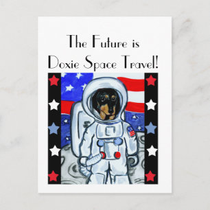 POSTAL DOXIE ASTRONAUTA
