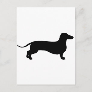 Postal Doxie negro