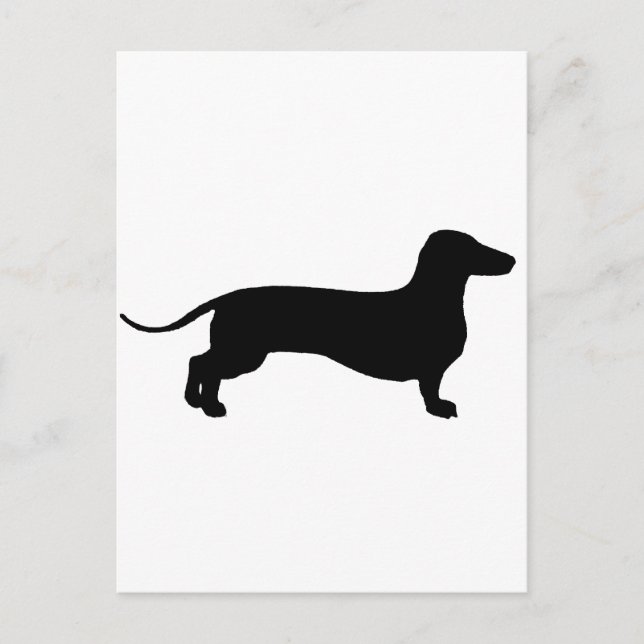 Postal Doxie negro (Anverso)