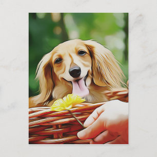Postal Doxie Persona Mano Mostrando Una Flor A Un Dachshu
