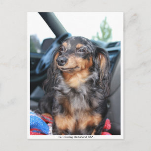 Postal doxie sonriente, The Traveling Dachshund, Estados