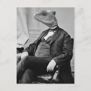 Postal Dr. Lizard