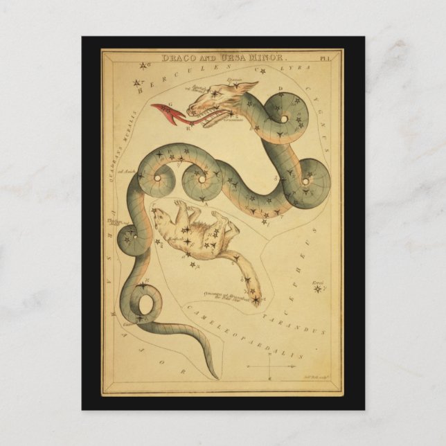 Postal Draco y Ursa Menor (Anverso)