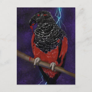 Postal Dracula Parrot