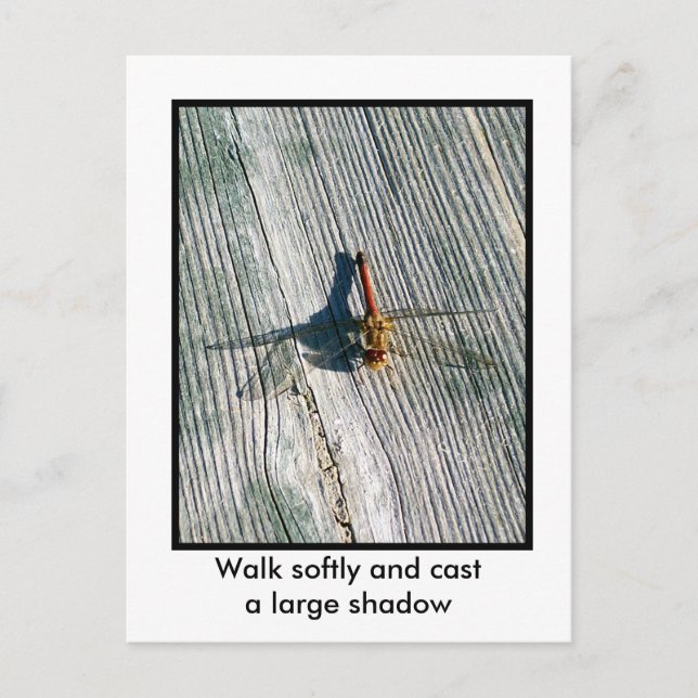 Postal Dragón (Anverso)