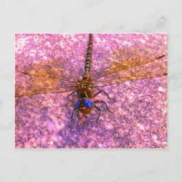 Postal Dragón