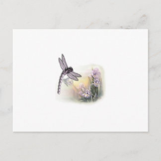 Postal Dragón