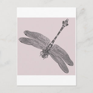 Postal Dragón