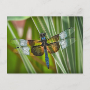 Postal Dragón
