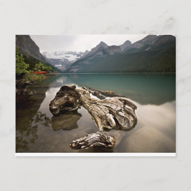 Postal Dragon Bones (Anverso)