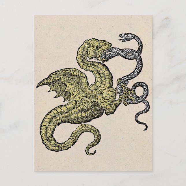 Postal Dragón dorado y serpiente plateada (Anverso)