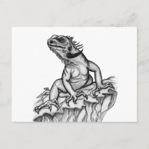 Postal Dragón en la roca