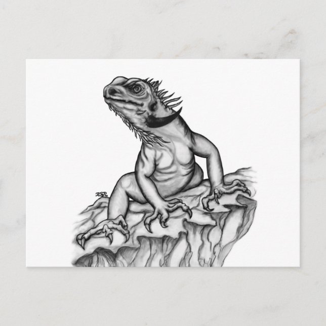 Postal Dragón en la roca (Anverso)